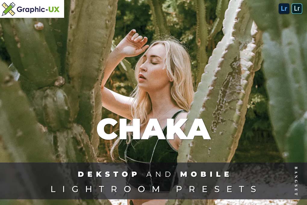 Chaka Desktop and Mobile Lightroom Prese