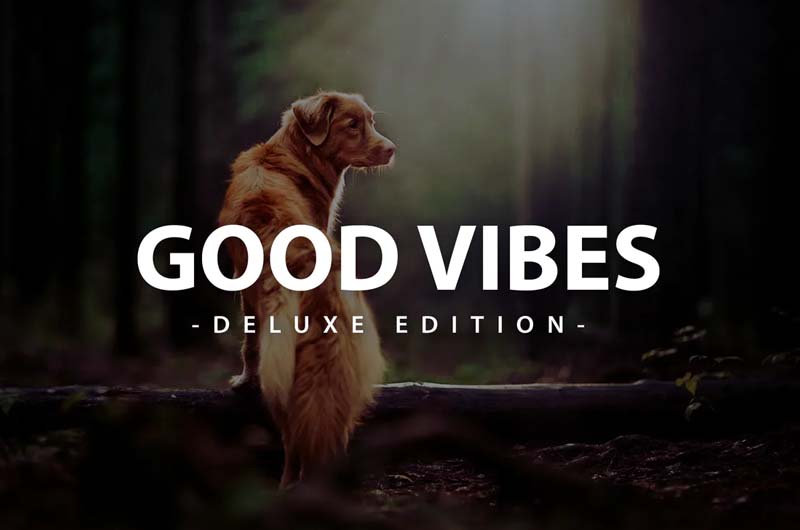 Good Vibes Deluxe Edition | Fro Mobile and Desktop