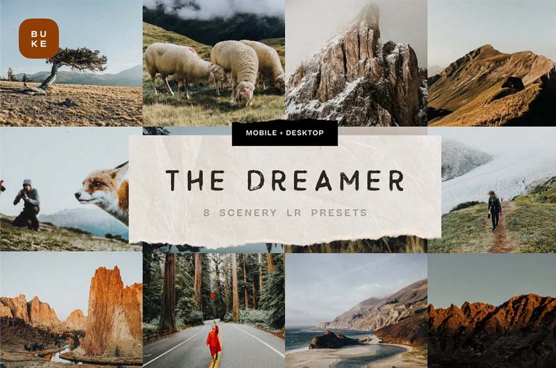 The Dreamer – 8 Lightroom Presets