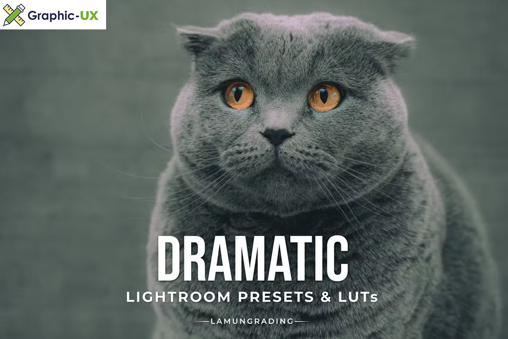 Dramatic Lightroom Presets & LUTs
